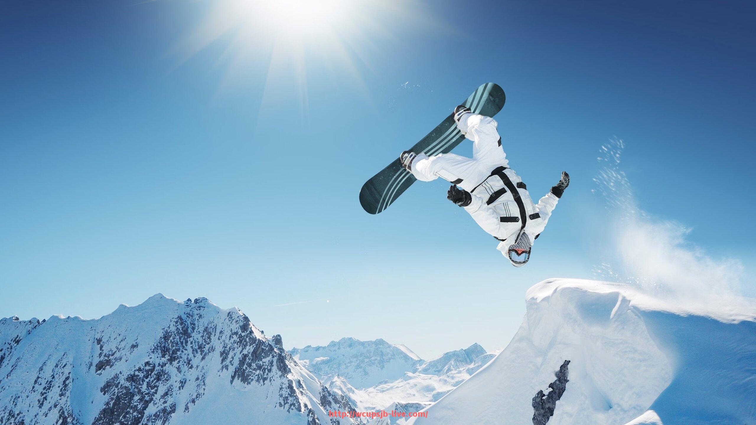 世俱杯直播-德甲各支球队队徽图案与含义全面解析